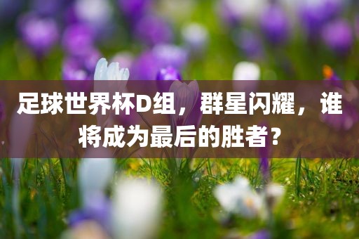 足球世界杯D组，群星闪耀，谁将成为最后的胜者？