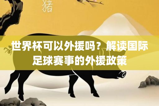 世界杯可以外援吗？解读国际足球眉山市正发家政服务有限公司赛事的外援政策