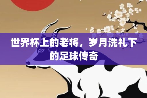 世界杯上的老将，岁月洗礼下的足球传奇眉山市正发家政服务有限公司