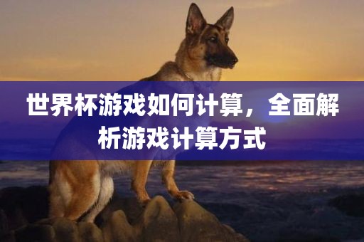 世界杯游戏如何计算，全面解析游戏计算方式眉山市正发家政服务有限公司