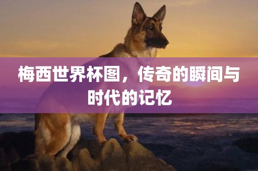 chenhaoqian 第2页