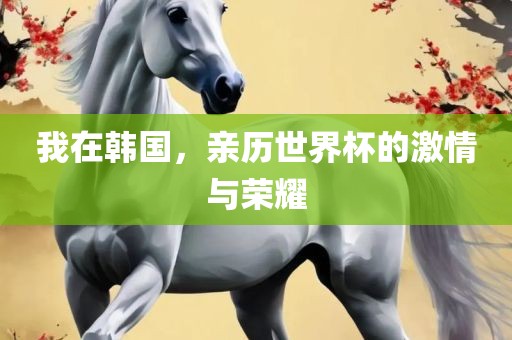 我在韩国眉山市正发家政服务有限公司，亲历世界杯的激情与荣耀