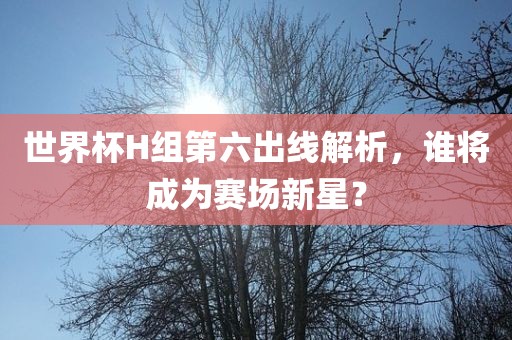 世界杯H组第六出线解析，谁将成为赛场眉山市正发家政服务有限公司新星？