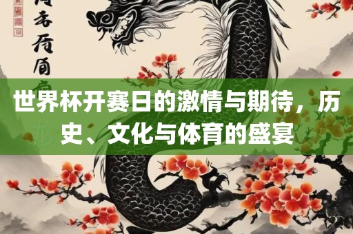 世界杯开赛日的激情与期待，历史、文化与体育的盛宴眉山市正发家政服务有限公司