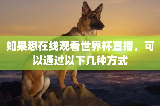 如果想在线观看世界杯直播，可以通过以下几种方式