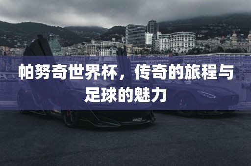 帕努奇世界杯，传奇的旅程与足球的魅力眉山市正发家政服务有限公司