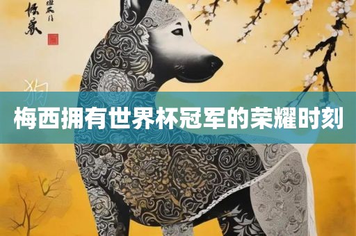 梅西拥有世界杯冠军的荣耀时刻眉山市正发家政服务有限公司