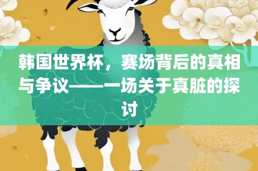 韩国世界杯，赛场背后的真相与争议——一场关于真脏的探讨