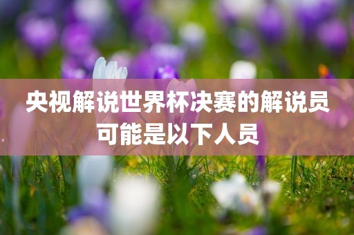 央视解说世界杯决赛的解说员可能是以下人员眉山市正发家政服务有限公司