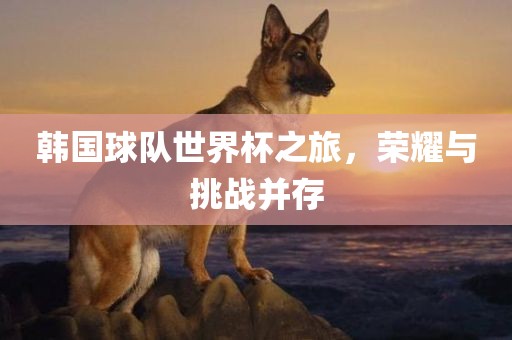 韩国球队世界杯之旅，荣耀与挑战并存