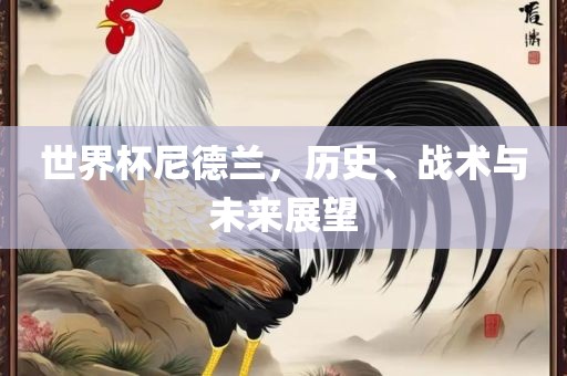 世界杯尼德兰，历史、战术与未来展望眉山市正发家政服务有限公司