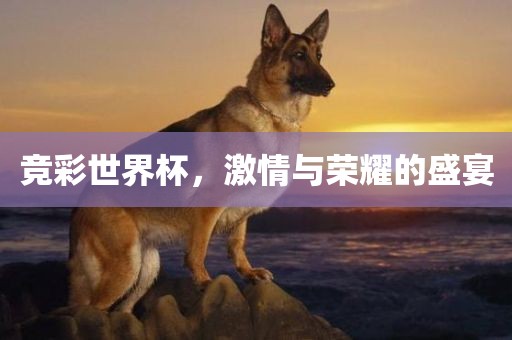 竞彩世界杯，激情与荣耀的盛宴