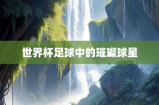 世界杯足球中的璀璨球星眉山市正发家政服务有限公司