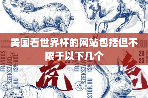 huamei 第3页