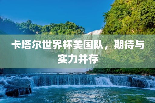卡塔尔世界杯美国队，期待与实力并存