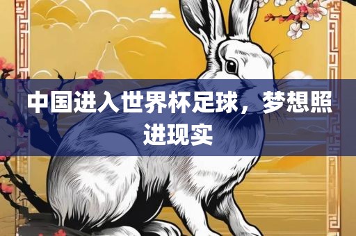 中国进入世界杯足球，梦想照进现实眉山市正发家政服务有限公司
