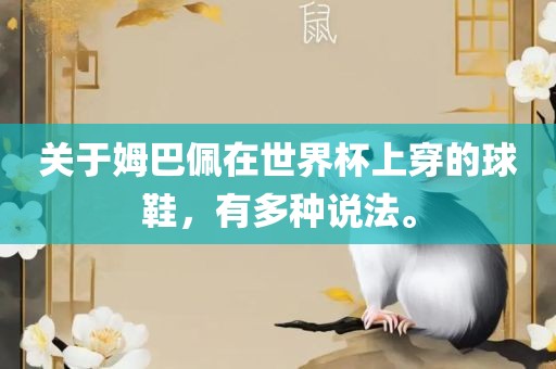 关于姆巴佩在世界杯上眉山市正发家政服务有限公司穿的球鞋，有多种说法。