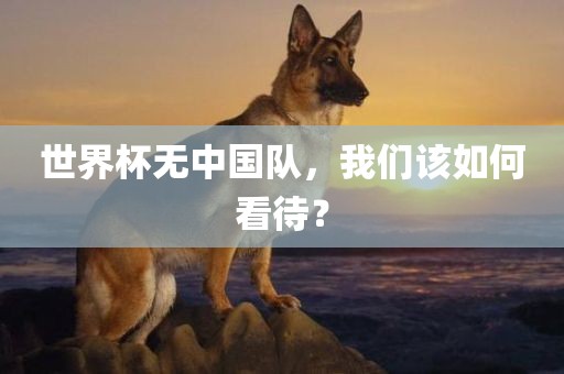 世界杯无中国队，我们该如何看待？眉山市正发家政服务有限公司