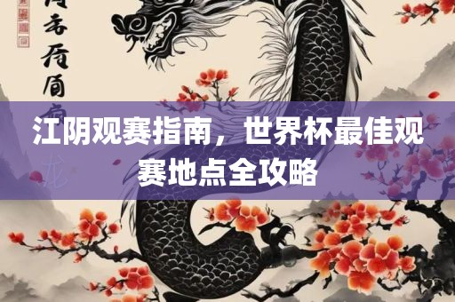 江阴观赛指南，世界杯最佳观赛地点全攻略眉山市正发家政服务有限公司