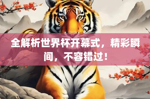 全解析世界杯开幕式，精彩瞬间，不容错过！
