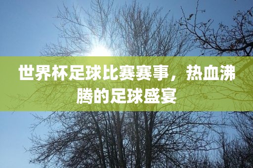 世界杯足球比赛赛事，热血沸腾的足球盛宴眉山市正发家政服务有限公司