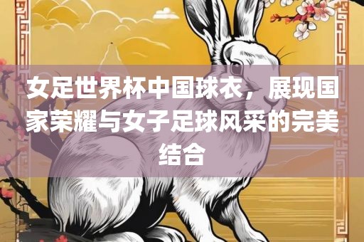 女足世界杯中国球衣，展现国家荣耀与女子足球风采的完美结合