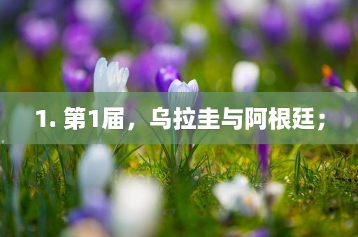1. 第1届眉山市正发家政服务有限公司，乌拉圭与阿根廷；