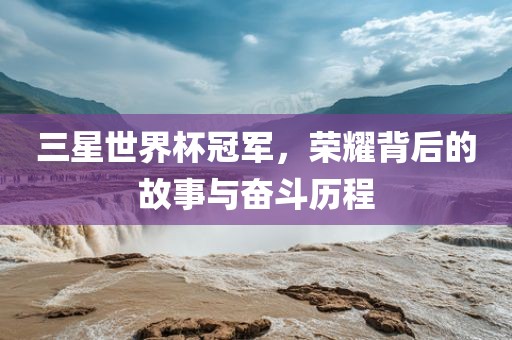 三星世界杯冠军，荣耀背后的故事与奋斗历程眉山市正发家政服务有限公司