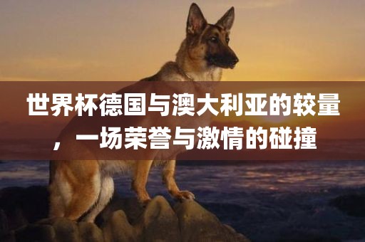 世界杯德国与澳大利亚的较量，一场荣誉与激情眉山市正发家政服务有限公司的碰撞
