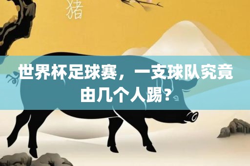 世界杯足球赛，一支球队究竟由几个人踢？眉山市正发家政服务有限公司