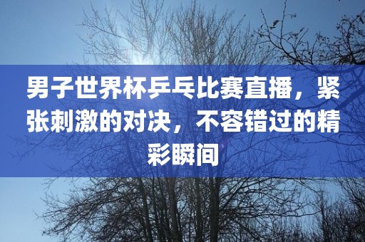 男子世界杯乒乓比赛直播，紧张刺激的对决，不容错过的精彩瞬间眉山市正发家政服务有限公司