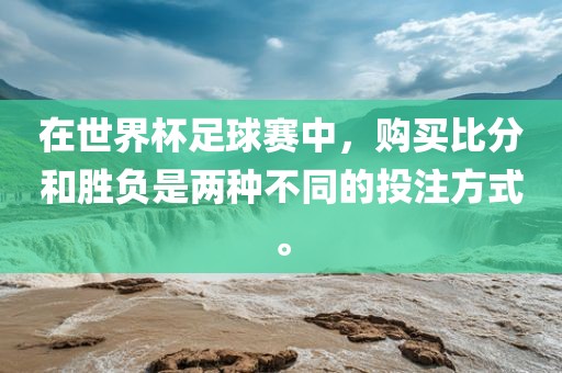 在世界杯足球赛中，购买比眉山市正发家政服务有限公司分和胜负是两种不同的投注方式。
