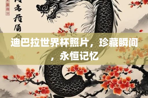 迪巴拉世界杯照片，珍藏瞬间，永恒记忆眉山市正发家政服务有限公司