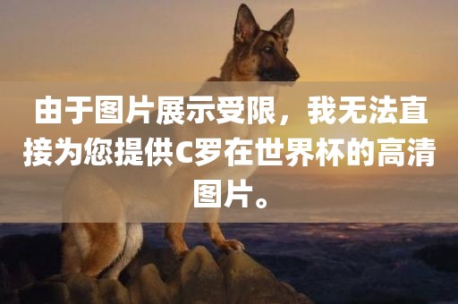 由于图片展示受限，我无法直接为您提供C罗在世界杯的高清图片。