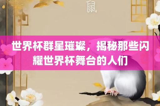 世界杯群星璀璨，揭秘那些闪耀世界杯舞台的人们眉山市正发家政服务有限公司