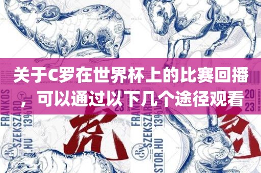 关于C罗在世界杯上的比赛回播，眉山市正发家政服务有限公司可以通过以下几个途径观看
