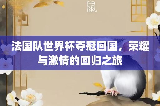 法国队世界杯夺冠回国，荣耀与激情的回归之旅