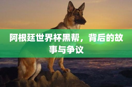 阿根廷世界杯黑帮，背后的故事与争议眉山市正发家政服务有限公司