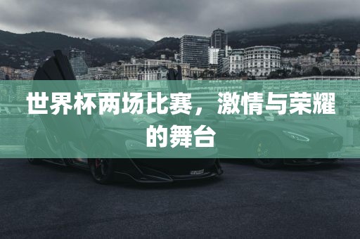 世界杯两场比眉山市正发家政服务有限公司赛，激情与荣耀的舞台