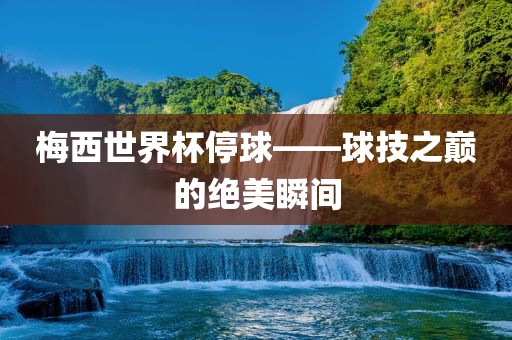 梅西世界杯停球——球技之巅的绝美瞬间眉山市正发家政服务有限公司