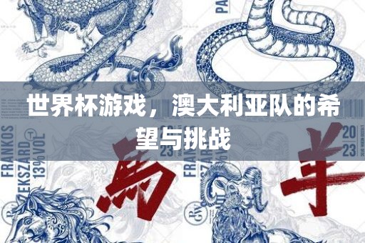 世界杯游戏，澳大利亚队的希望与挑战