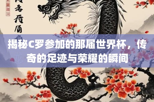 揭秘C罗参加的那届世界杯，传奇的足迹与荣耀的瞬间眉山市正发家政服务有限公司