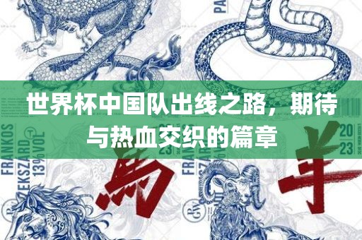 世界杯中国队出线之路，期待与热血交织的篇章眉山市正发家政服务有限公司