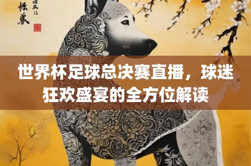 世界杯足球总决赛直播，球迷狂欢盛宴的全方位解读