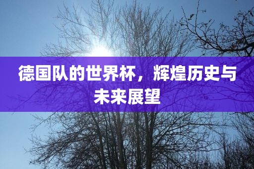 德国队的世界杯，辉煌历史与未来展望眉山市正发家政服务有限公司