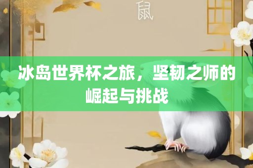 冰岛世界杯之旅，坚韧之师的崛起与挑战