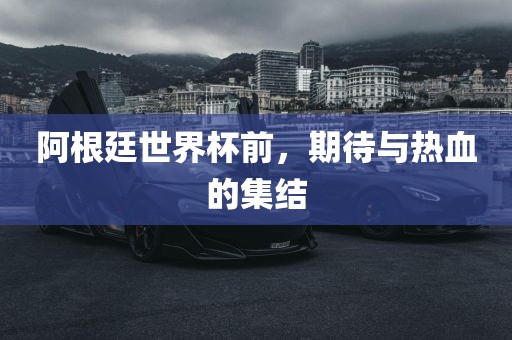 jinrou 第2页