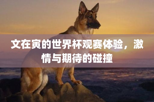 文在寅的世界杯观赛体验，激情与期待的碰撞眉山市正发家政服务有限公司