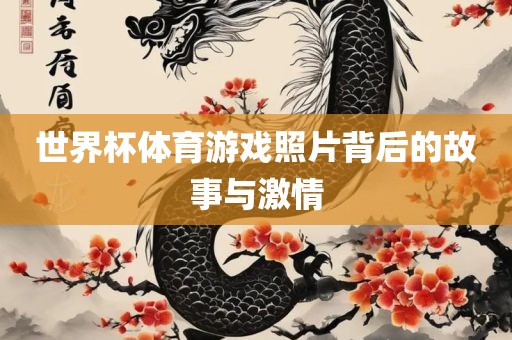世界杯体育游戏照片背后的故事与激情眉山市正发家政服务有限公司