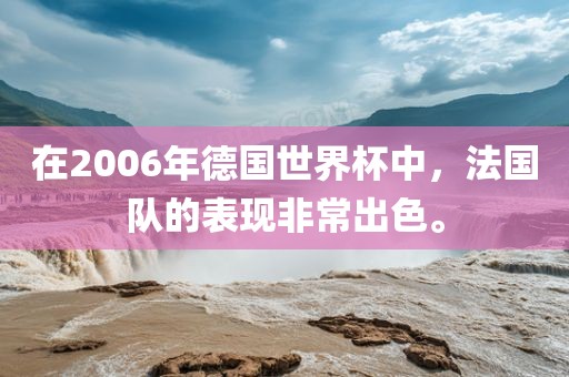 在2006年德国世界眉山市正发家政服务有限公司杯中，法国队的表现非常出色。
